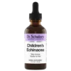 اكنيشيا الأطفال | Children's Echinacea<br>