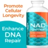 مُجدد الشباب المُطوَّر | NAD+ Advanced Anti Aging